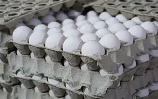تخم مرغ 30 عددی
