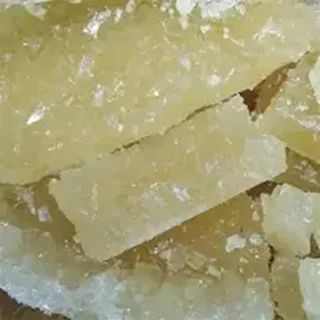 نبات کاسه صائب